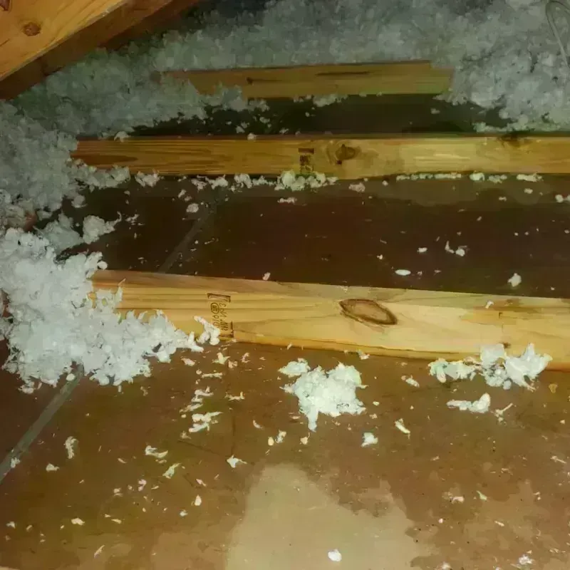 Attic Water Damage in Rogersville, AL